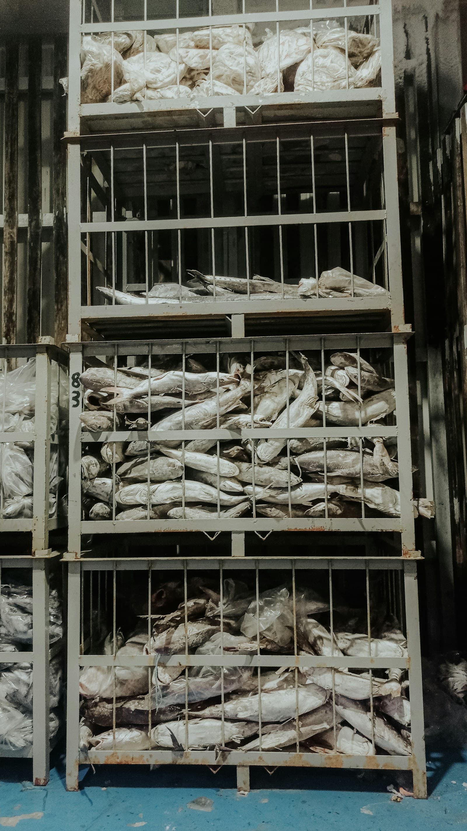 Cold storage warehouse for refrigerated goods